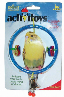 JW Insight Ring Clear Bird Toy|