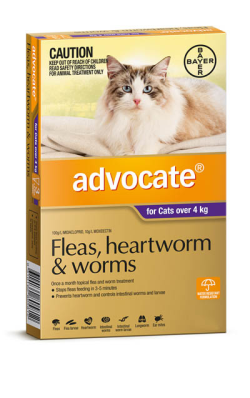 Advocate Cats Over 4kg 1 Pack|