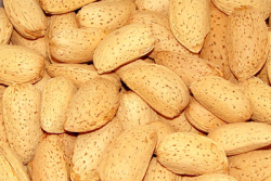 Premium Bird Treats Almonds In Shells 5kg|