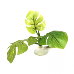 Aqua One Betta Hammock Green Plant Ornament 10cm|