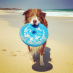 Aussie Dog Soft Blue Floating Disc|
