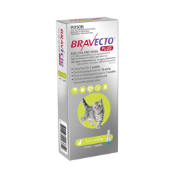 Bravecto Plus Flea, Tick & Worm SPOT ON for Cats 1.2 to 2.8kg (Green) 1 Pack|