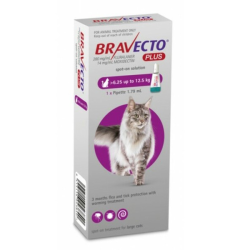 Bravecto Plus Flea, Tick & Worm SPOT ON for Large Cats 6.25 to 12.5kg (Purple) 1 Pack|
