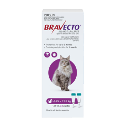 Bravecto Spot On for Large Cats 6.25 - 12.5kg (Purple)|