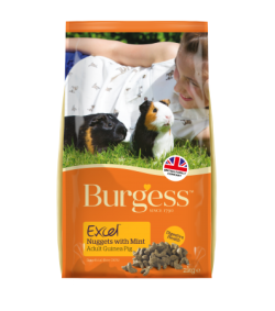 Burgess Excel Guinea Pig Pellets with Mint 2kg|