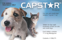 Capstar Small Dog & Cat Flea Treatment 6 Tablets|