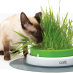 Catit Senses 2.0 Grass Garden Startup & Refill Pack|Catit Grass Planter (Sold Separately)