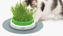 Catit Senses 2.0 Grass Planter|