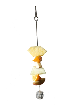 Creative Foraging Working Lunch Skewer Toy Extender 8|Note: Fruit not included.