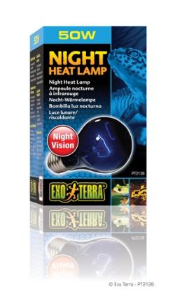 Exo Terra Night Heat Lamp 50W|