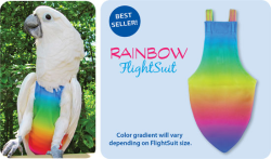 Flight Suit Bird Diaper - Wide, Rainbow|