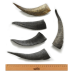 Goat Horn Treats for Dogs Small|