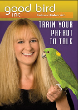 Good Bird Inc DVD Train Your Parrot To Talk|