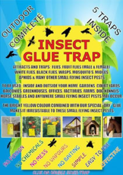 Insect Glue Trap 5 Pack|