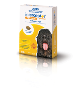 Interceptor Spectrum Chews for Dogs 11 to 22kg (Yellow) 6 Pack|