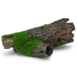 Kazoo Medium Log with Textured Moss Ornament|