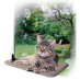 Kazoo The Lookout Window Mounted Cat Bed|