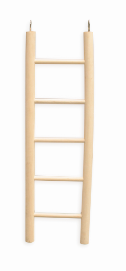 Kazoo Bird Wooden Ladder 5 Step Large Natural|