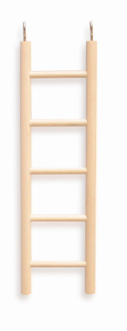 Kazoo Bird Wooden Ladder 5 Step Medium Natural|