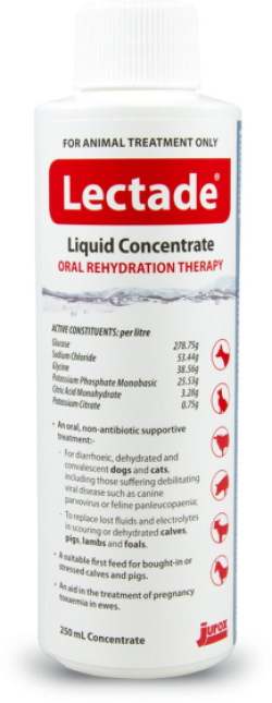 Lectade Liquid Concentrate Oral Rehydration 250ml|