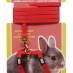 Living World Dwarf Rabbits Harness & Lead Set Red|