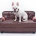 Luxury Designer Dog Bed Robin Brown|