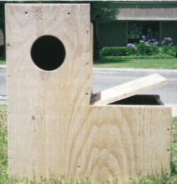 Plywood L Shape Parrot Nest Box|