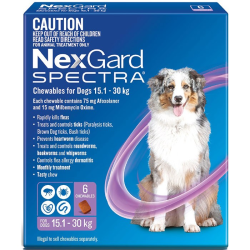 NexGard Spectra Chewables for Dogs Purple 15.1-30kg 6 Pack|
