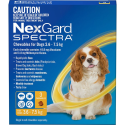 NexGard Spectra Chewables for Dogs Yellow 3.6-7.5kg 3 Pack|