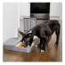 PetSafe 2 Meal Automatic Feeder|