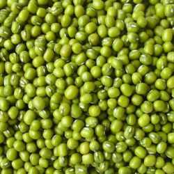 Premium Bird Seed Green Mung Beans 2kg|