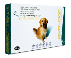 Revolution Dog Teal 20.1-40kg 6 Pack|