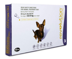 Revolution Dog Purple 2.6-5kg 3 Pack|