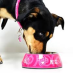 Rogz Bubble Pink Paw 2-in-1 Bowl Small|