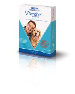 Sentinel Spectrum Chews for Dogs 22 to 45kg (Blue) 6 Pack|
