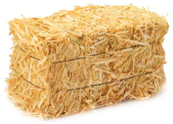 Straw Hay Bale|