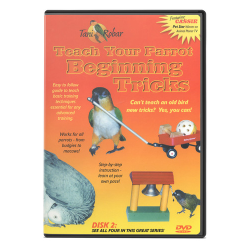 Teach Your Parrot Beginning Tricks Bird Training DVD|