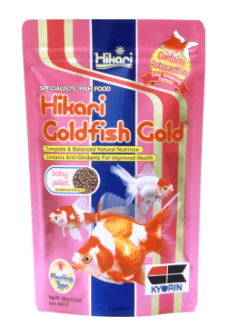 Hikari Goldfish Gold Baby Pellets 100g|
