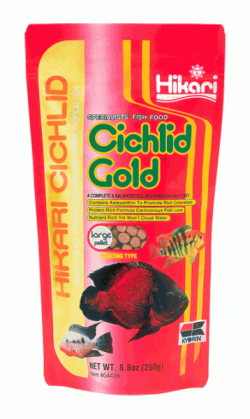 Hikari Cichlid Gold Floating Large Pellets 250g|