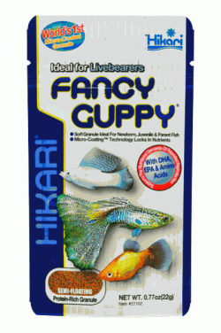 Hikari Fancy Guppy Granule 22g|