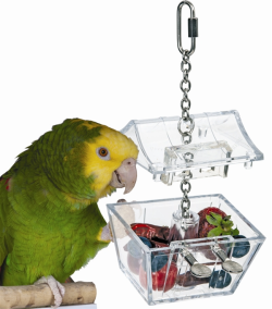 Natures Instinct Parrots Treasure|