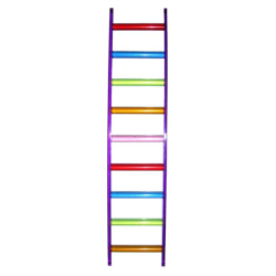 Green Parrot Acrylic Ladder Large|