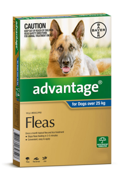 Advantage Dogs Over 25kg 1 Pack|