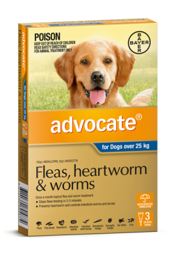 Advocate Dogs Over 25kg 3 Pack|