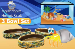 Aquatopia Hermit Crab Three Bowl Set|