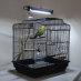 Arcadia Pure Sun Mini UVB Bird Complete T5 Lighting System 8w|