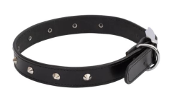 Beau Pets Collar Leather Deluxe Sewn Studded 65cm Black|