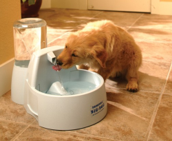 Drinkwell Big Dog Pet Fountain|