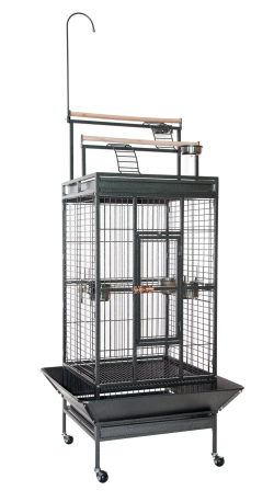 Medium Bird Cage With Twin Perch Play Top BC6358|