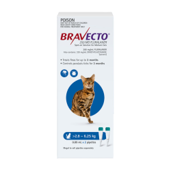 Bravecto Spot On for Medium Cats 2.8 - 6.25kg (Blue)|